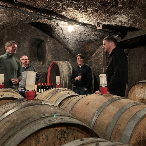 Zu Gast im Weingut<br>Weinprobe & Vesper